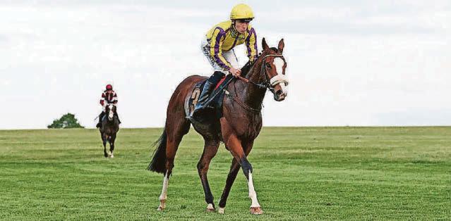 HORSE POWER Jettie's Run can cruise at Windsor despite penalty