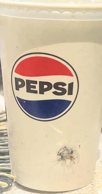 Spider shock for KFC customer