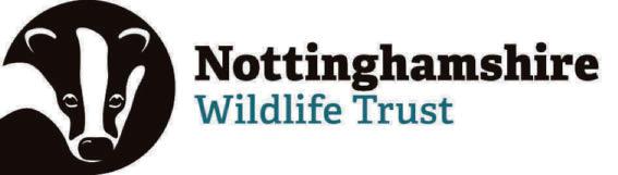 Why the lack of 'splats' on our cars is a cause for concern