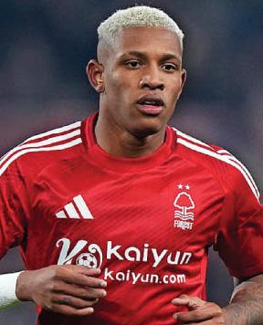 First part of window done and plenty of work on cards still for Forest