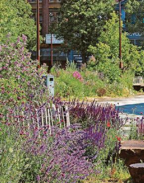 Why we prayed for God to bless our great city