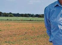 'We're thinking of leaving if solar farm goes ahead'