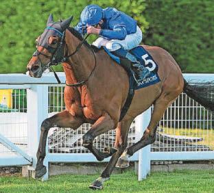 HORSE POWER Trawlerman to scoop the Ascot Gold Cup honours