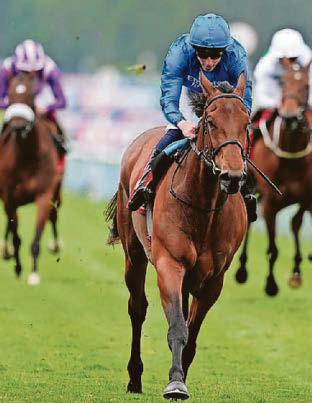 HORSE POWER Diamond's set to sparkle with victory at Newcastle