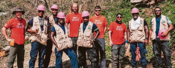 Tree surgeon who gets the call when hurricanes strike