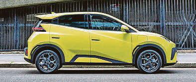 Spot the Dolphin on your driveway