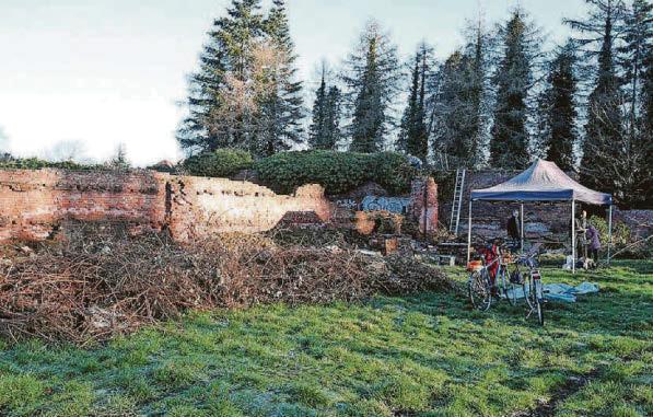 All that blooming hard work has finally paid off