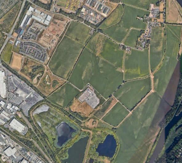 'Precious and beautiful green space will be concreted over'