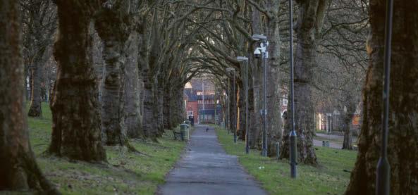 Extra police patrols as female walker grabbed in 'terrifying incident'