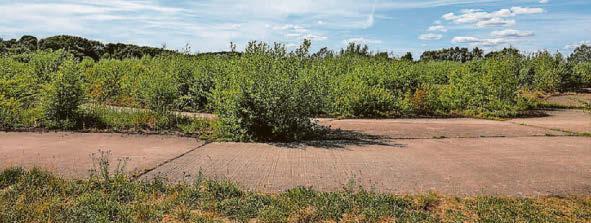 Massive logistics park planned for farmland