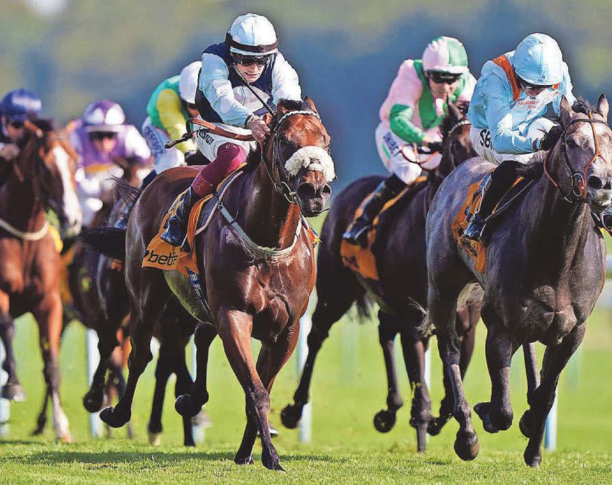 Cotai Belle can grab victory in Super Sprint at Newbury