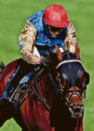 French is fancied for Goodwood Cup glory