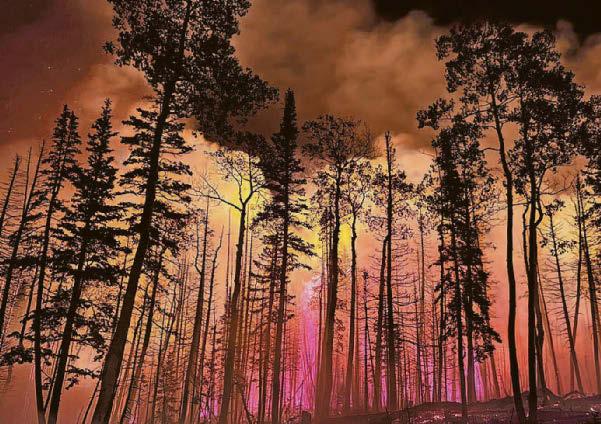 Wildfires spark 'fire clouds'