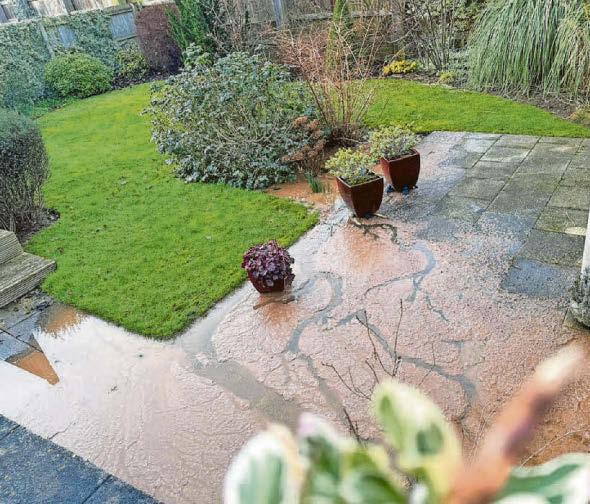 Couple only offered £90 bill discount after sewage flood ruins garden