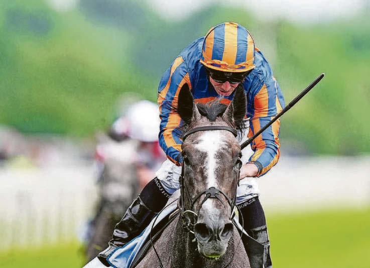 London City looks a capital investment to win the Ebor