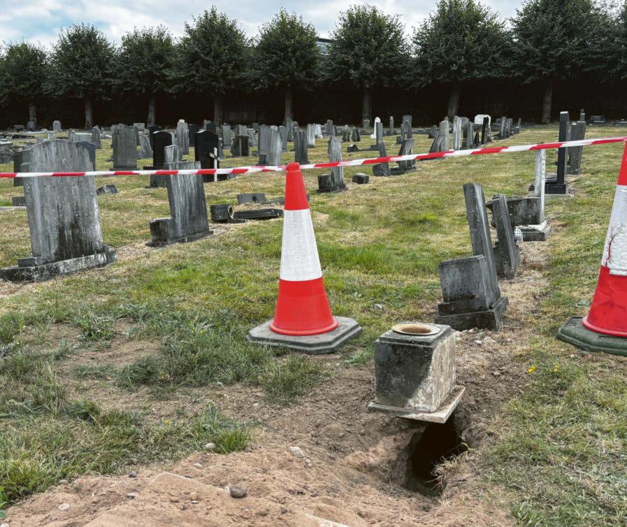 Are badgers to blame for cemetery damage?