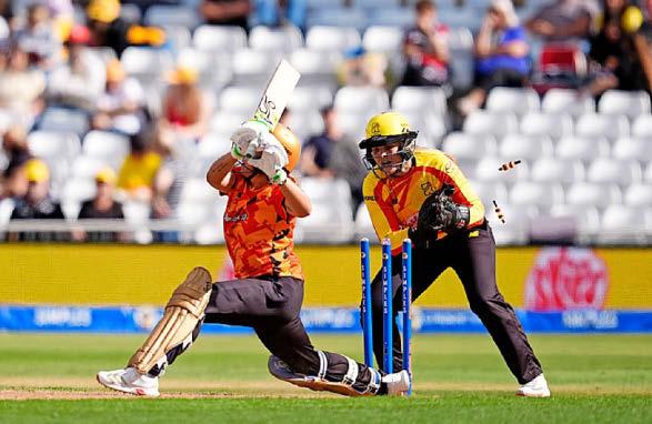 Nat's entertainment!