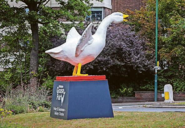 Vandals warned: Stay off Goosey