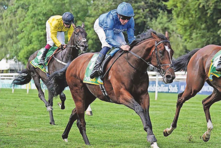 Mister Winston a winner and Christian at Haydock