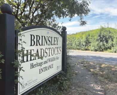 Borough is changing forever with new park, jobs and thousands of homes in the pipeline