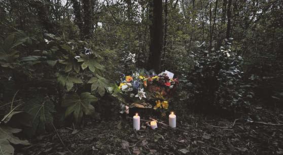 Dad who fled from police in uninsured car was found dead in woodland