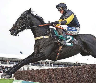 JPR One horse to follow to strike Gold at Exeter