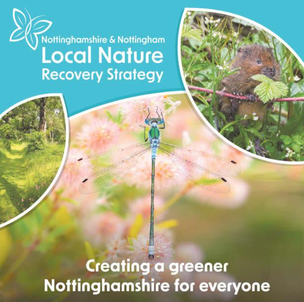 The long-term priorities to ensure nature can thrive