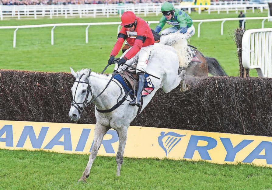 It could be Grey's day at Haydock in Betfair Chase