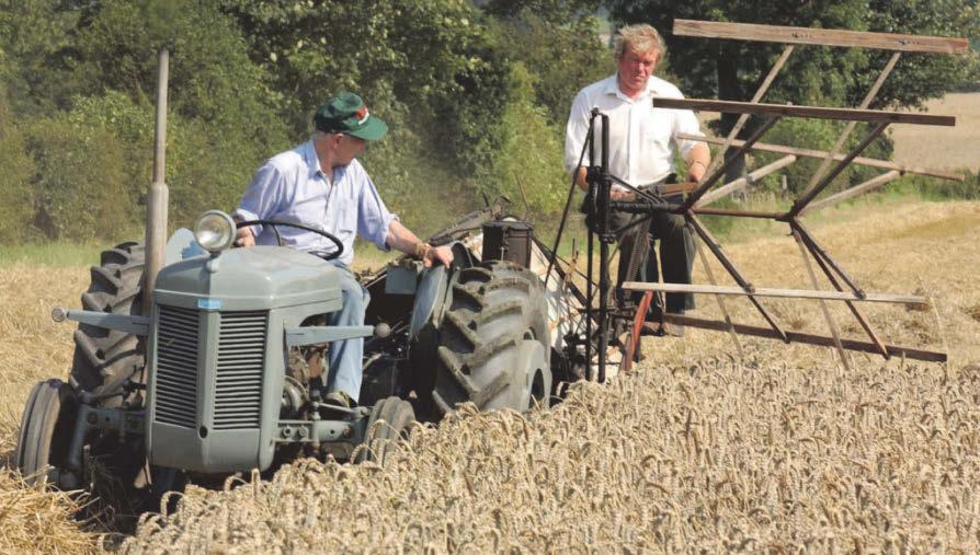'The farm and the church, that was Brian'... shock as missing 82-year-old is feared dead