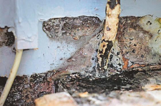 Mum's mouldy home is making her children sick