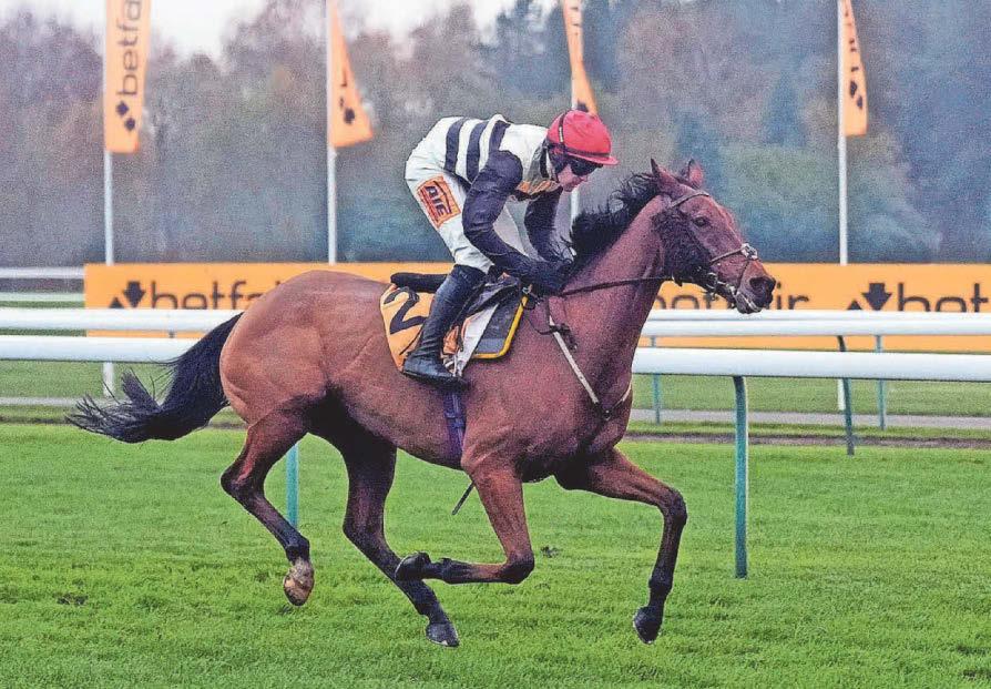 Top fits the Bill to win the Tommy Whittle Chase