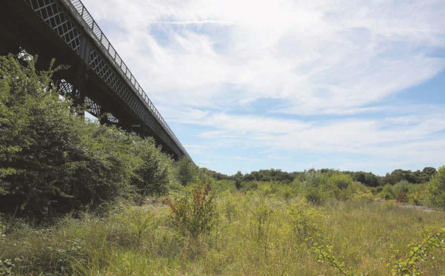 Fight to stop business park on country ‘haven’