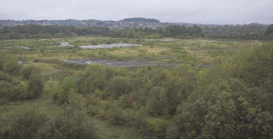 Proposed business park could create thousands of jobs