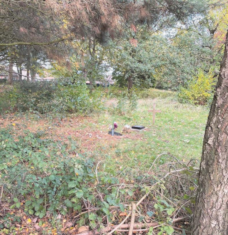 Parents 'deeply distressed' at overgrown state of baby graves