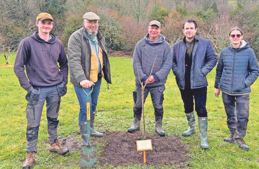 Pip pip hooray! Bramley sapling planted to save our famous tree