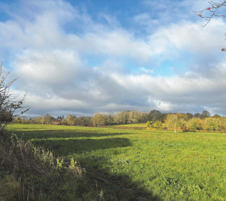 New housing bid 'should ring alarm bells for locals'