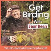 BRANCH OUT WITH SEAN'S NEST MATES