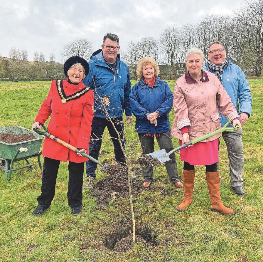 Hoping to bring back Sherwood Forest's 'magic'