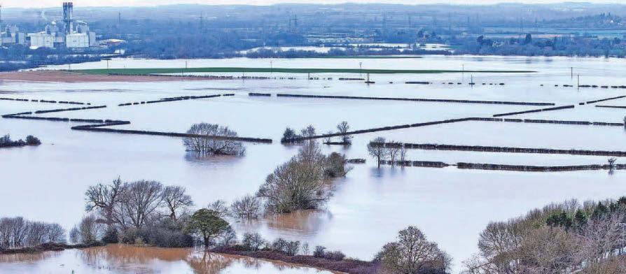 Thousands of homes 'face severe flood risk' by 2080, analysis finds