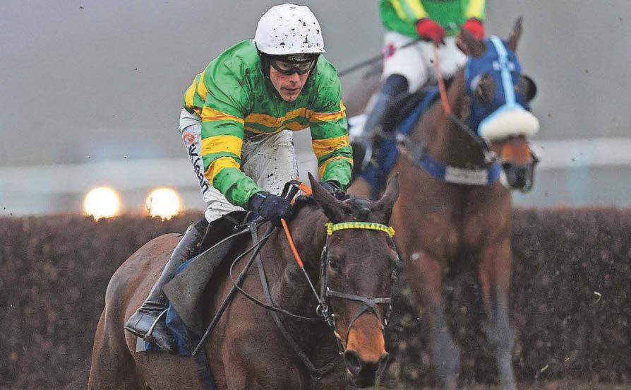 Aworkinprogress can win Midlands Grand National