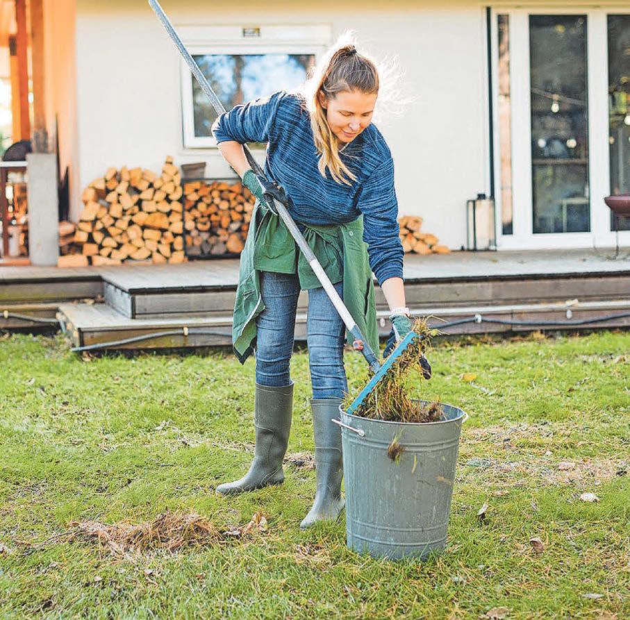 Go slow when time to mow