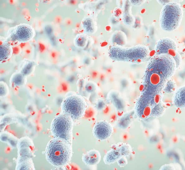Hospitals 'high risk' for drug-resistant infection