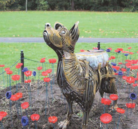 Remembrance honour for Bing, the hero dog who parachuted into Normandy on D-Day