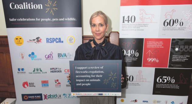 City MP at fireworks talk as charities call for legislation change