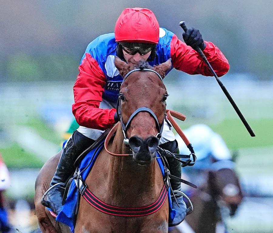 Ma Shantou set to shine in Stayers'