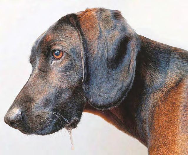 Drooling dog on high alert