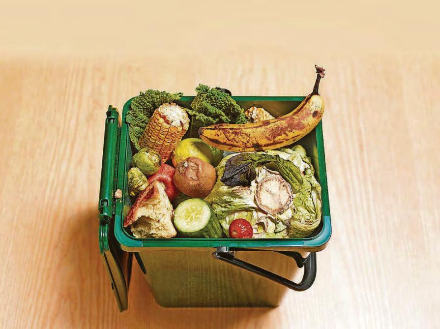 Council set to chew over new plans to recycle food waste