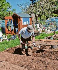 'We look forward to seeing growers bring produce to our show'