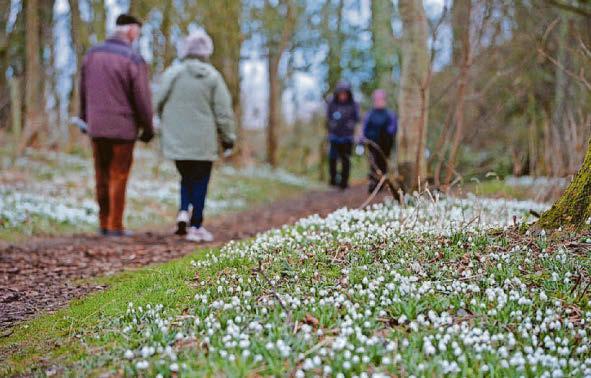 'Together, we hope to relieve pressure on mental wellbeing services in county'