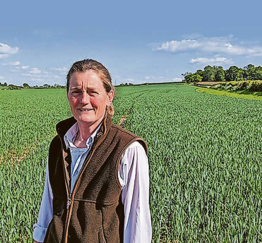 Councillor is in line to be farming hero